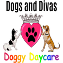 Dogs and Divas APK