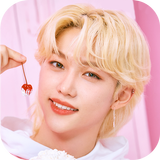 KPOP Idol Jigsaw and Wallpaper-APK