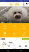 ココットベール(谷町4丁目のDogSalon) Ekran Görüntüsü 1