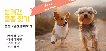 혈통찾기  : 반려견,강아지,개의 품종을 카메라로 찍어