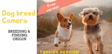Dog breed : Where does my dog 