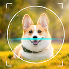 Dog Breed Identifier by Photo icon