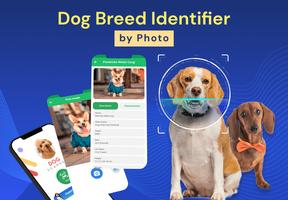 Dog Breed Identifier by Photo poster