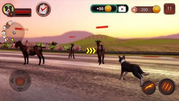 Border Collie Simulator Screenshot 1