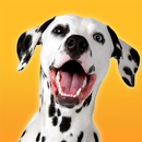 Simulateur de chien dalmatien APK