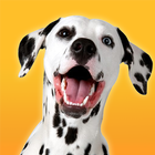 Simulateur de chien dalmatien icône