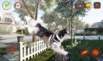 Husky Simulator gönderen