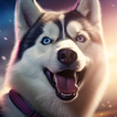 Husky Simulator 圖標