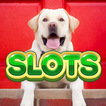 Slots - Dogs Lovers