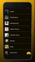 Dog Breeds: All Dogs Breeds imagem de tela 1