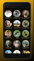 Dog Breeds: All Dogs Breeds imagem de tela 2