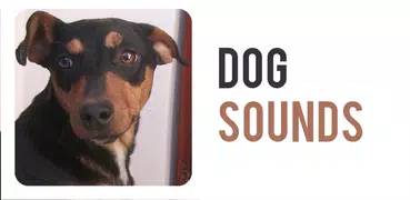 Звуки собак