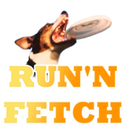 Run'n Fetch icon