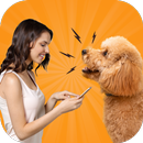 Dog Translator Prank Simulator APK