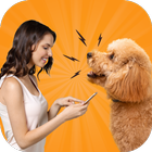 Dog Translator Prank أيقونة