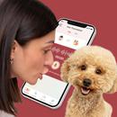 Dog Translator Prank Simulator APK