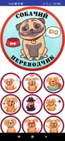 Собачий Переводчик Симулятор imagem de tela 4