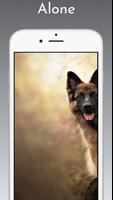 German Shepherd Wallpaper imagem de tela 3