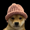 Dogwifhat dVPN APK