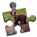 ”Bear Love Puzzle