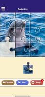 Dolphin Love Puzzle Affiche