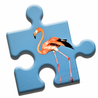Florida Jigsaw Puzzle آئیکن