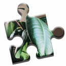 APK House Plants Puzzle