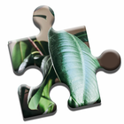 House Plants Puzzle icon