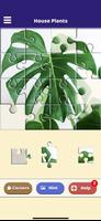 House Plants Puzzle screenshot 1