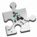APK Ultimate Hockey Puzzle