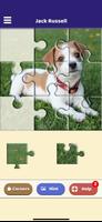 Jack Russell Puzzle الملصق