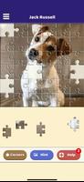 Jack Russell Puzzle تصوير الشاشة 1