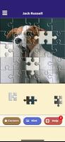 Jack Russell Puzzle تصوير الشاشة 2