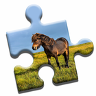 Pony Love Puzzle icon