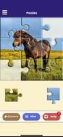Pony Love Puzzle poster