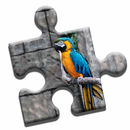 APK Parrot Love Puzzle
