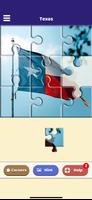 Texas Jigsaw Puzzle plakat