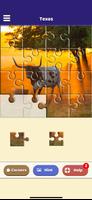 Texas Jigsaw Puzzle screenshot 1
