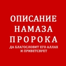 Описание намаза Пророка (САС) APK