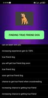 True friend dog Poster