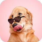 Dog Breed Scanner Dog Breed ID أيقونة