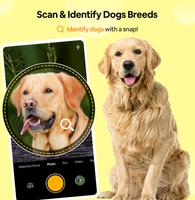 Dog Breed Scanner Dog Breed ID Affiche