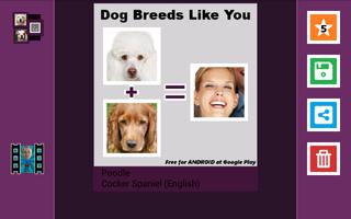 Dog Breeds Most Look Like You Affiche
