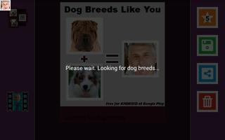 Dog Breeds Most Look Like You Ekran Görüntüsü 1