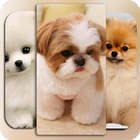 Dog Wallpaper biểu tượng