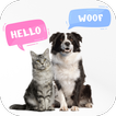 Dog & Cat Translator Prank