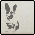 Know and choose dog breed icon