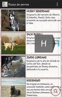 Know and choose dog breed screenshot 1