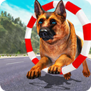 Дрессировка собак: игры с APK