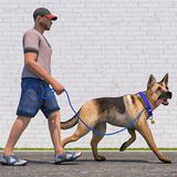 Dog Walking - Pet Sitting Game ikona